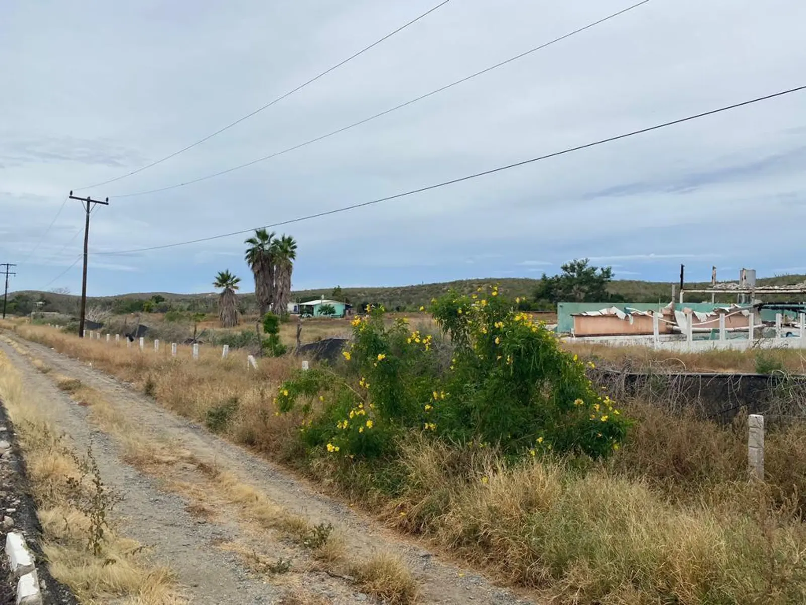 TERRENO EN VENTA TODOS SANTOS