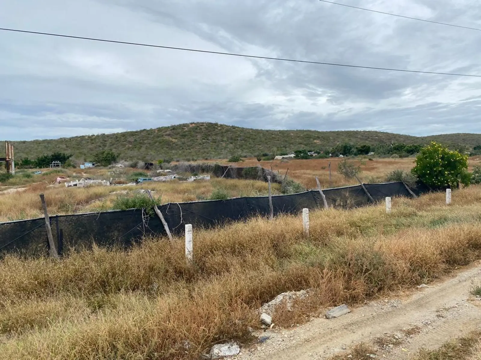 TERRENO EN VENTA TODOS SANTOS
