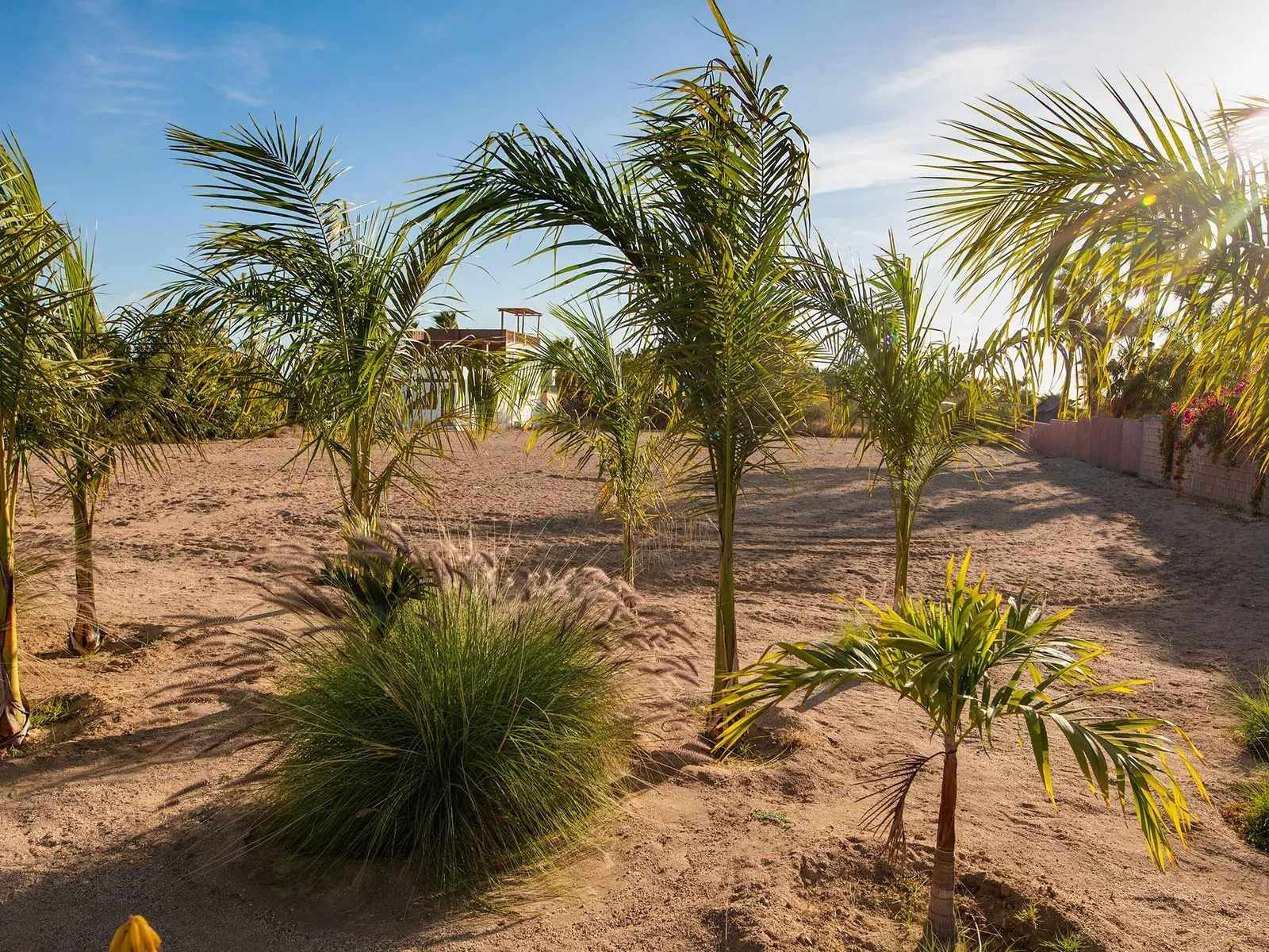 Lot Los Jardines