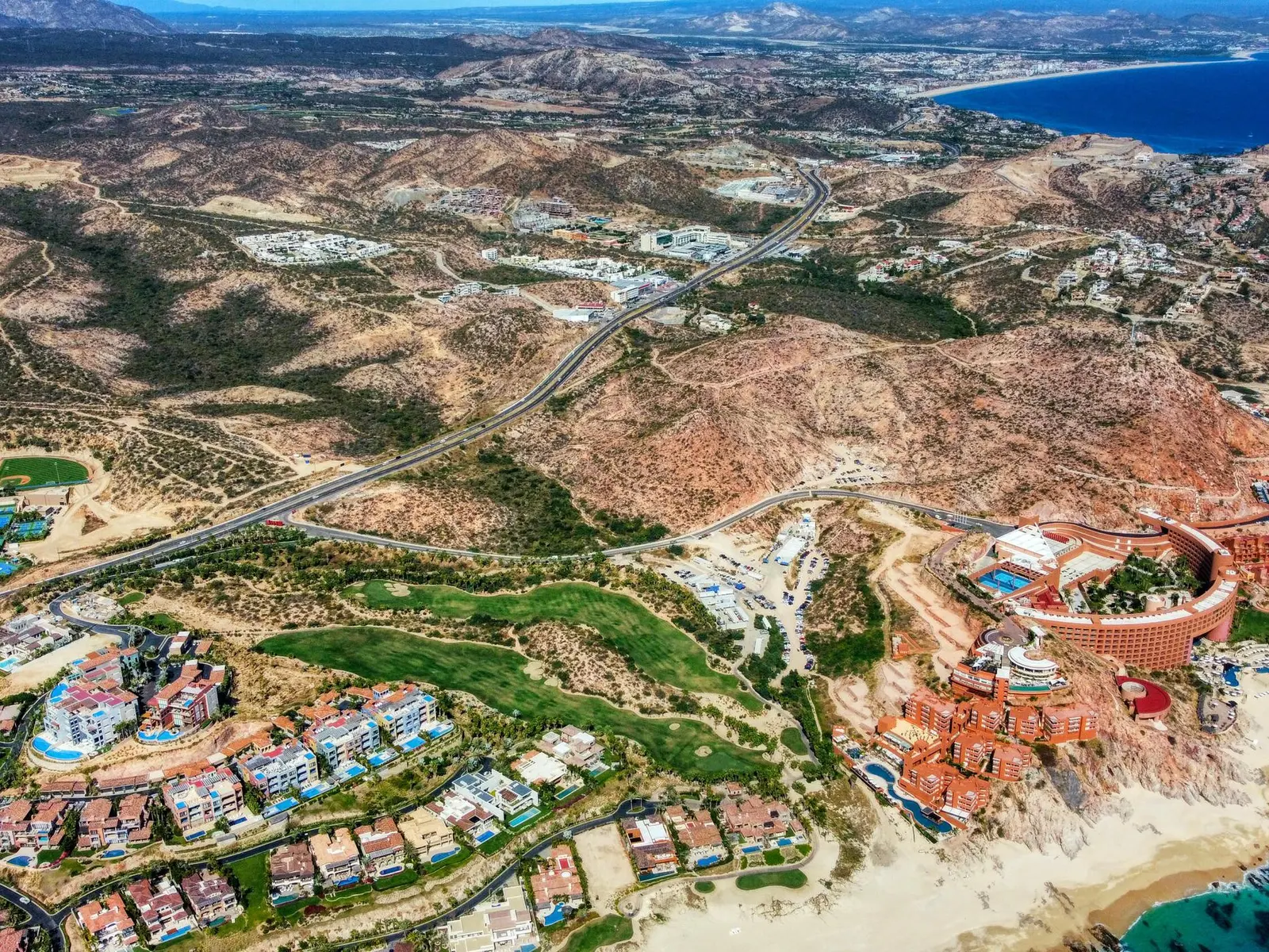 Venado del Cerro Blanco