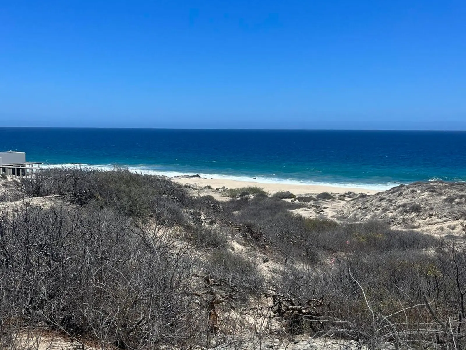Costa De Oro 63