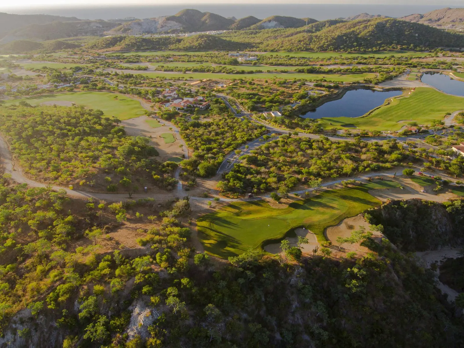 Homesite 6