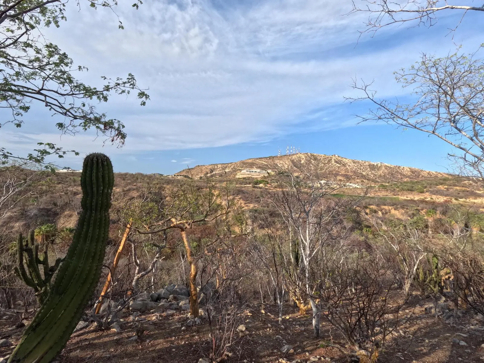Homesite 3