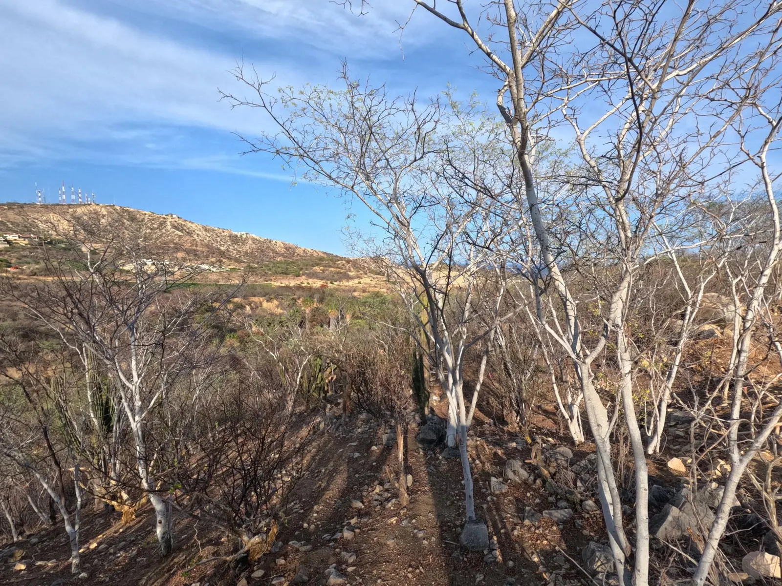 Homesite 3