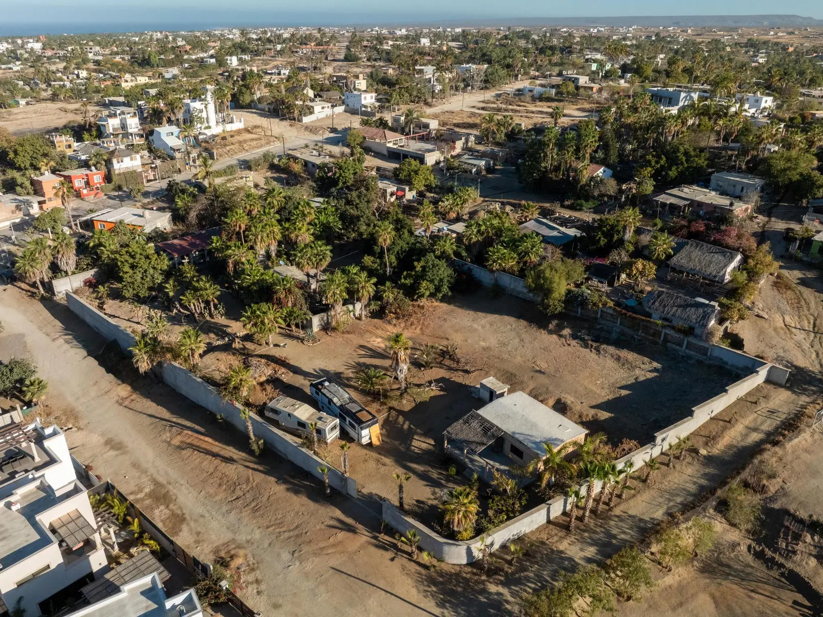 LOTE PALMAS