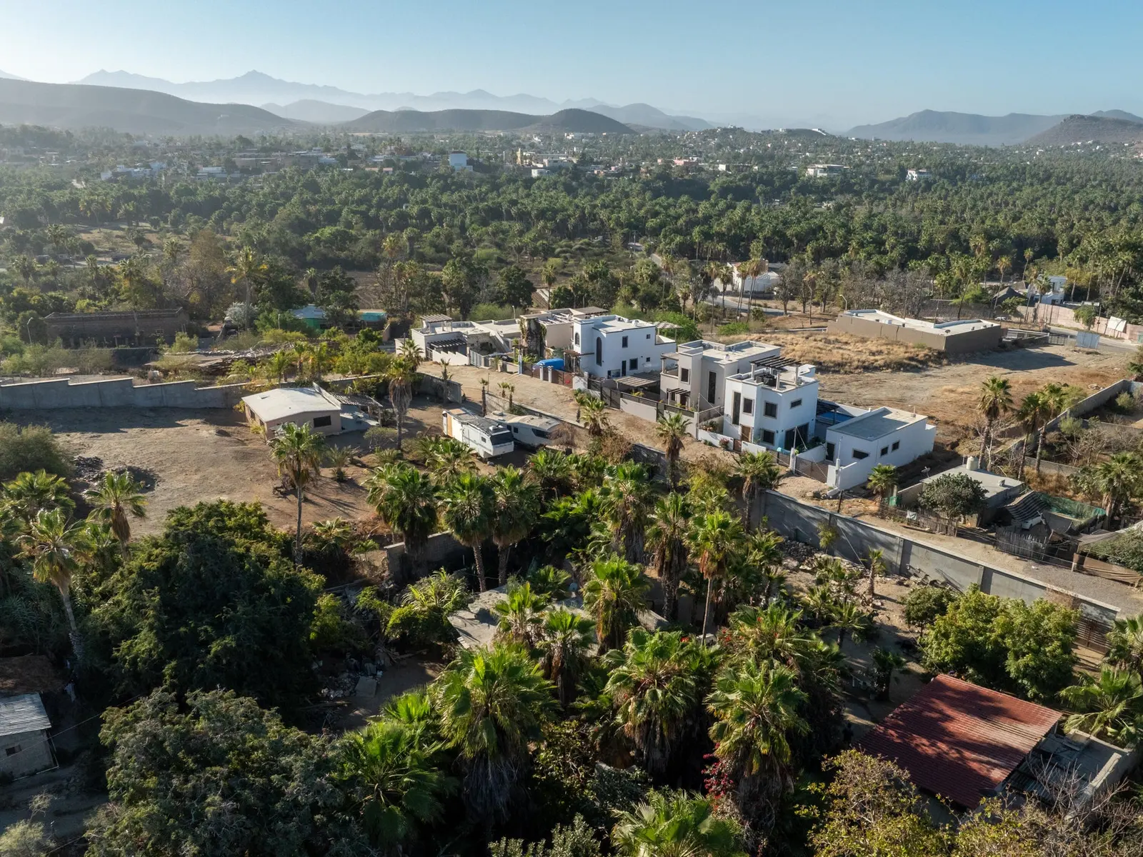 LOTE PALMAS