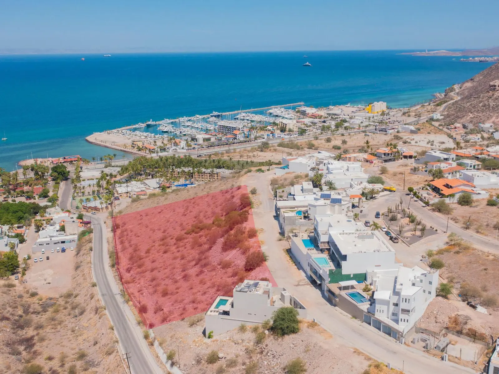 Vista Palmira