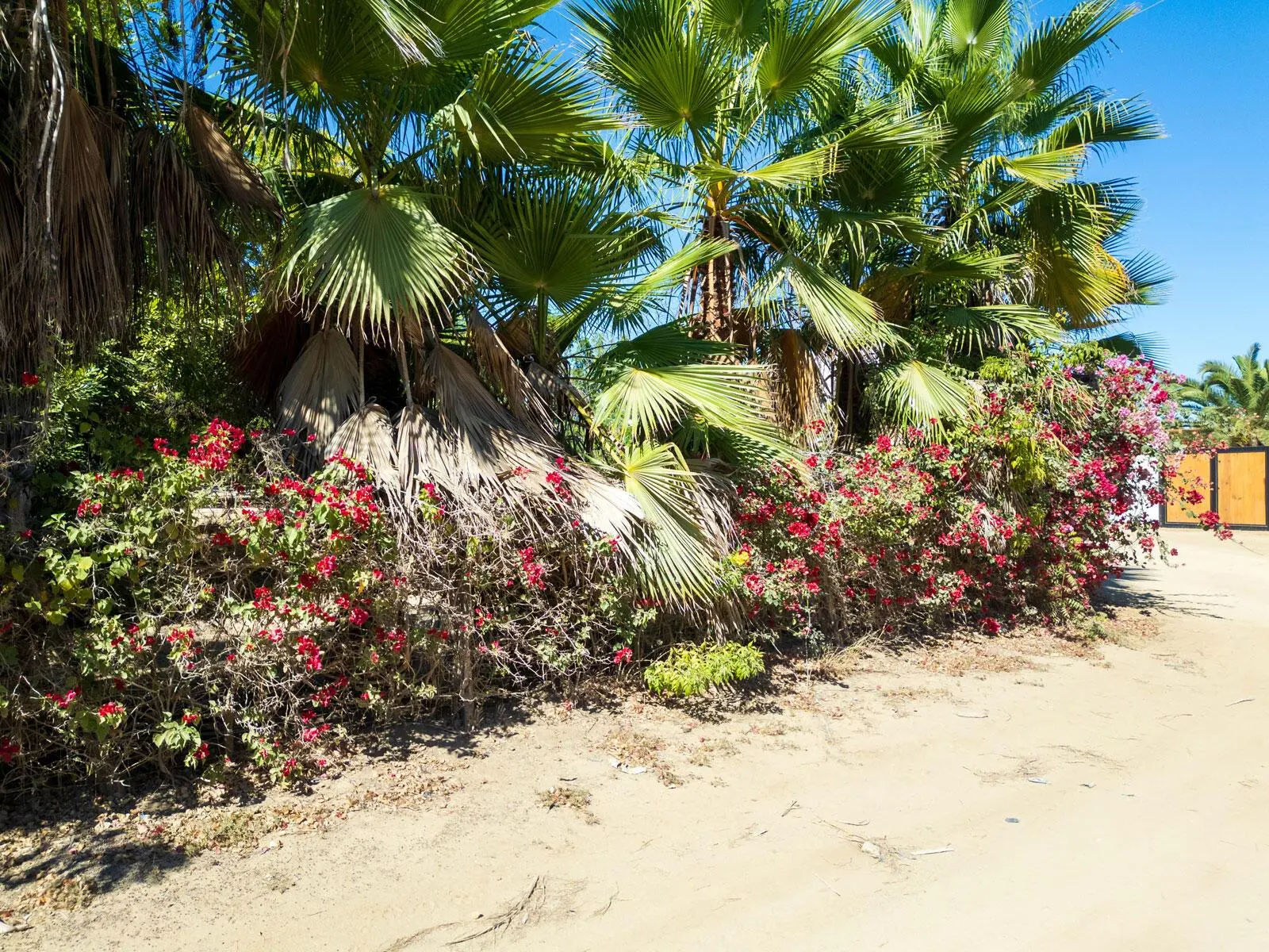 Huerta 28 Half Acre