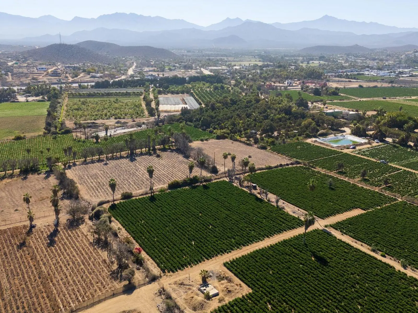 Huerta Tranquila