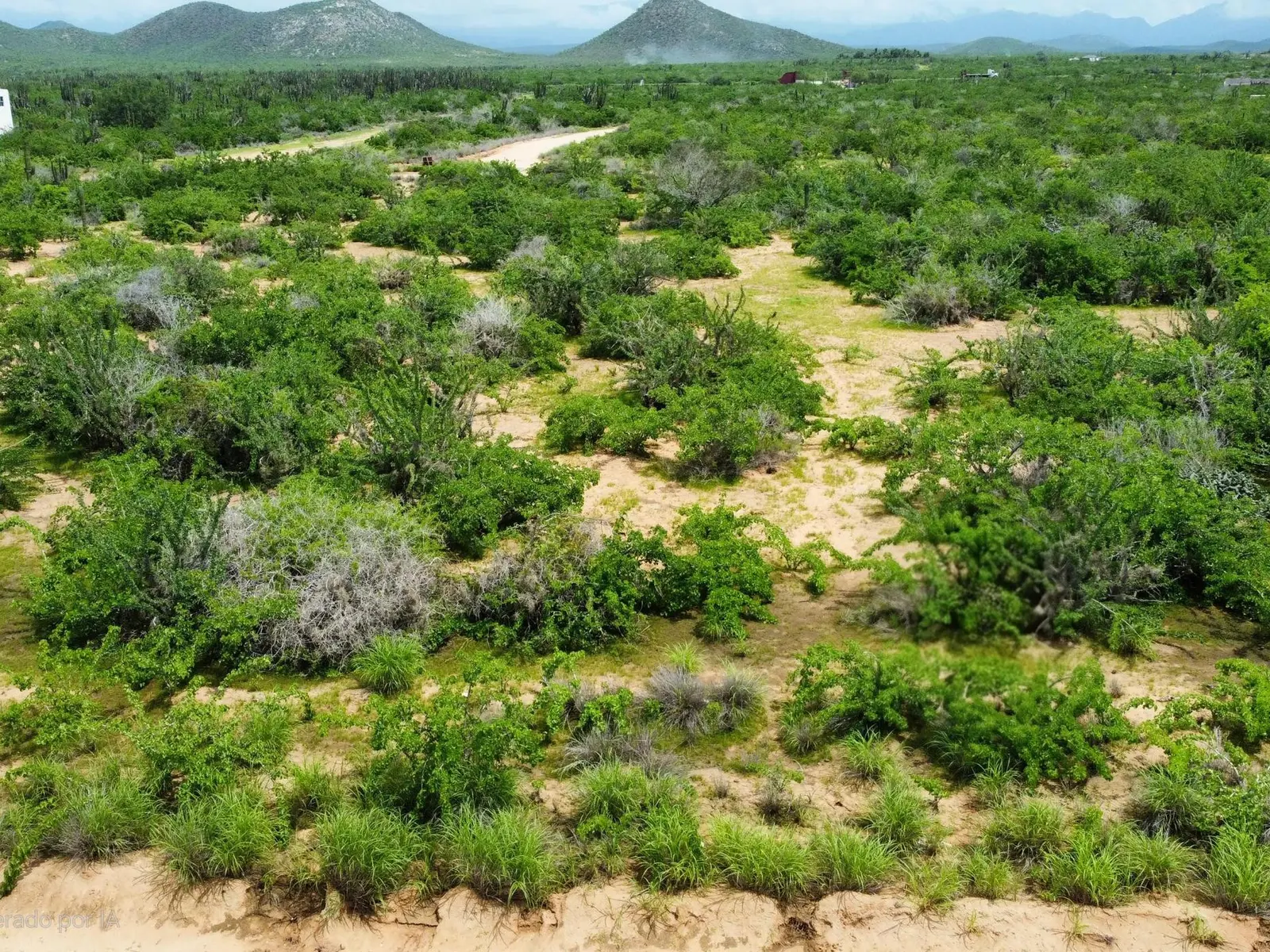 RANCHO NUEVO
