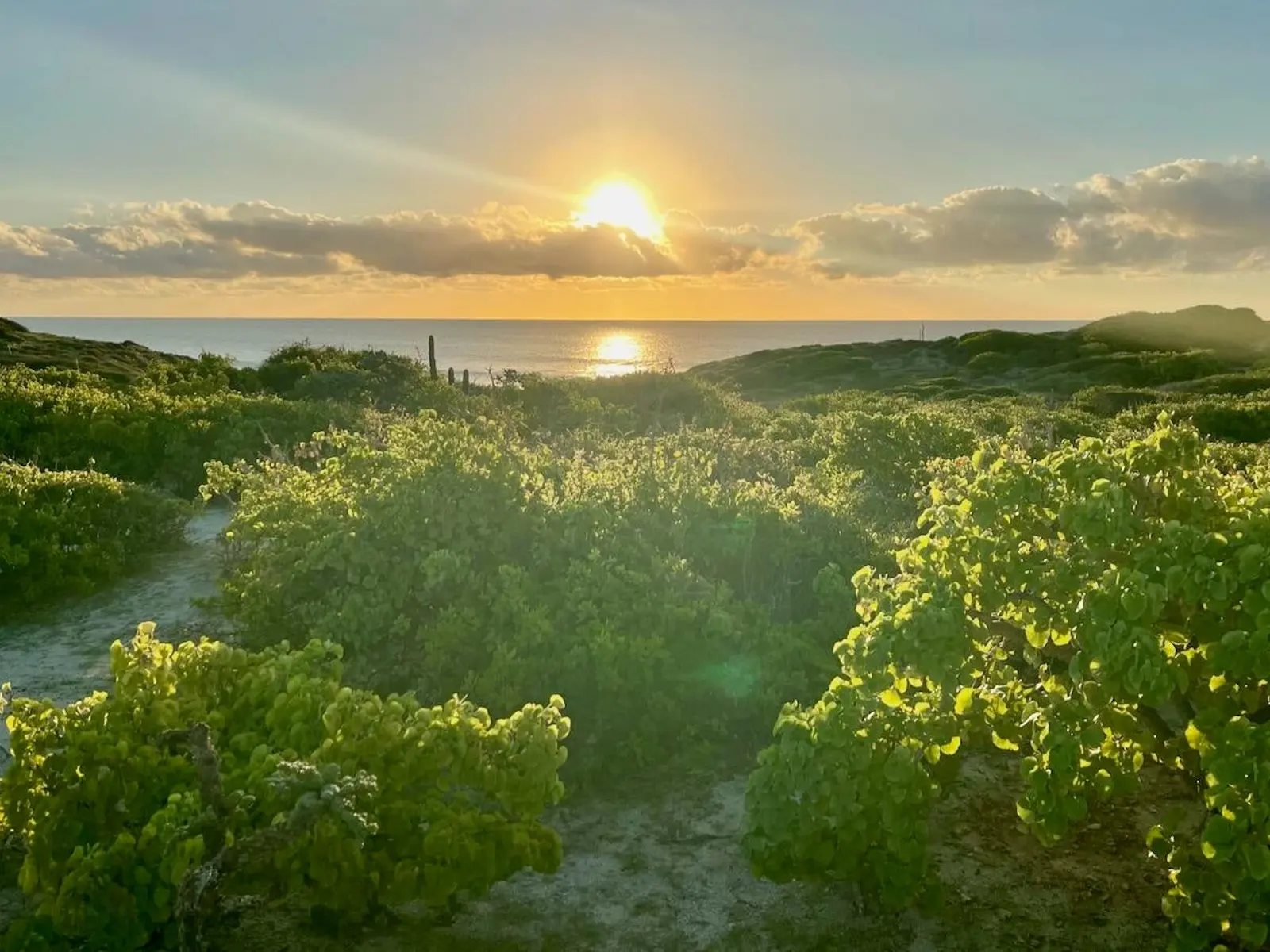 ''Sunrise Beach'