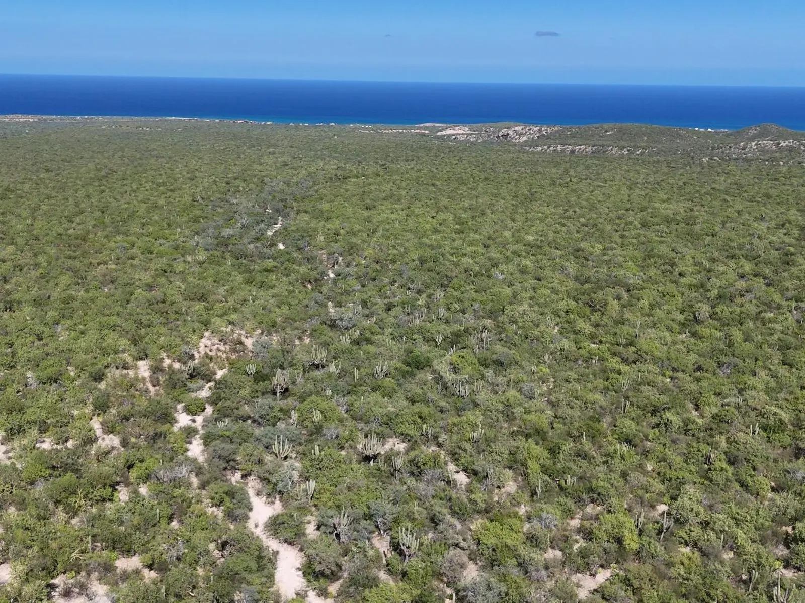 East Cape Developers Dream