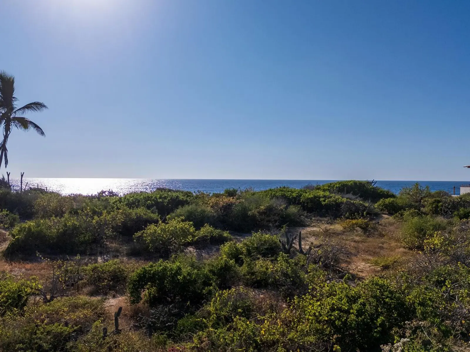 Beachfront 367