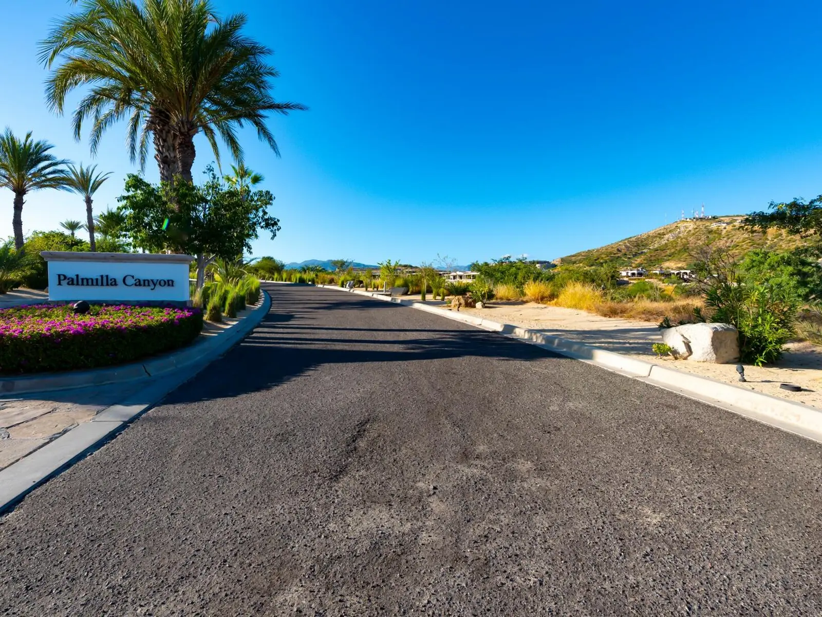 Palmilla Canyon Homesite 5