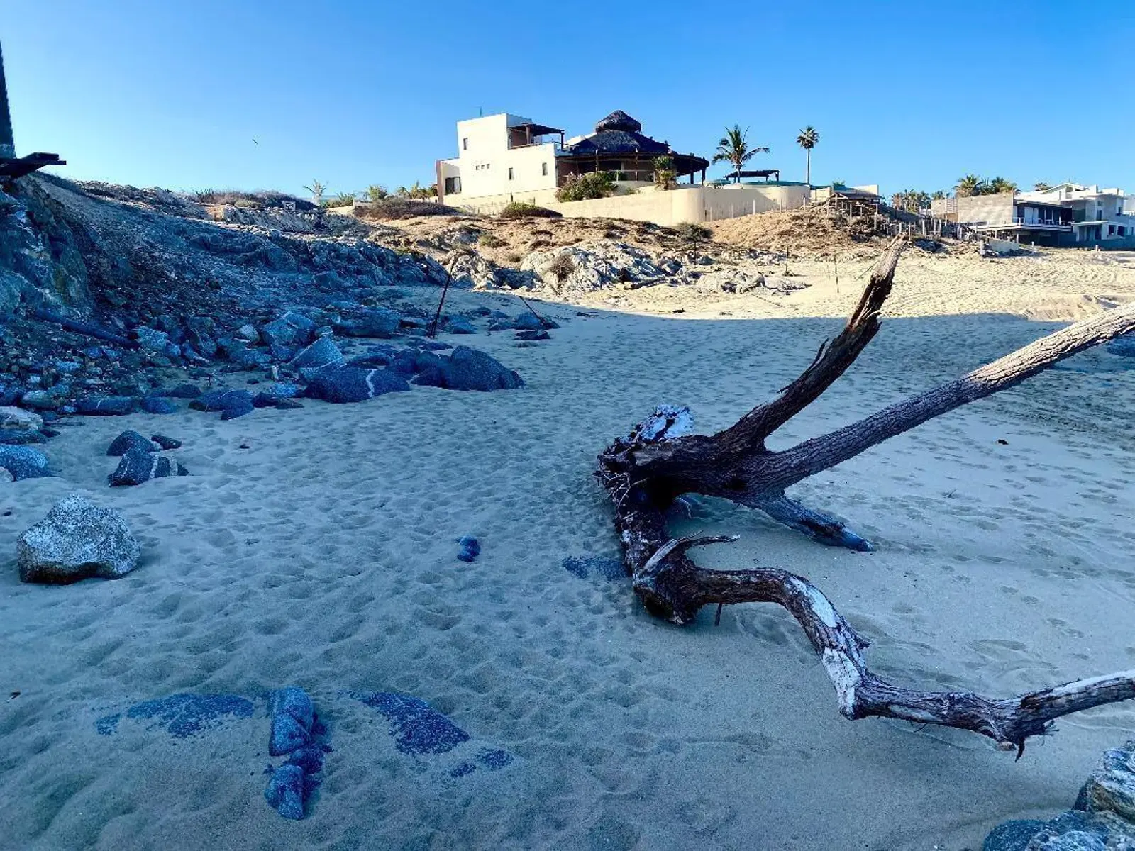 Santa Cruz Oceanfront