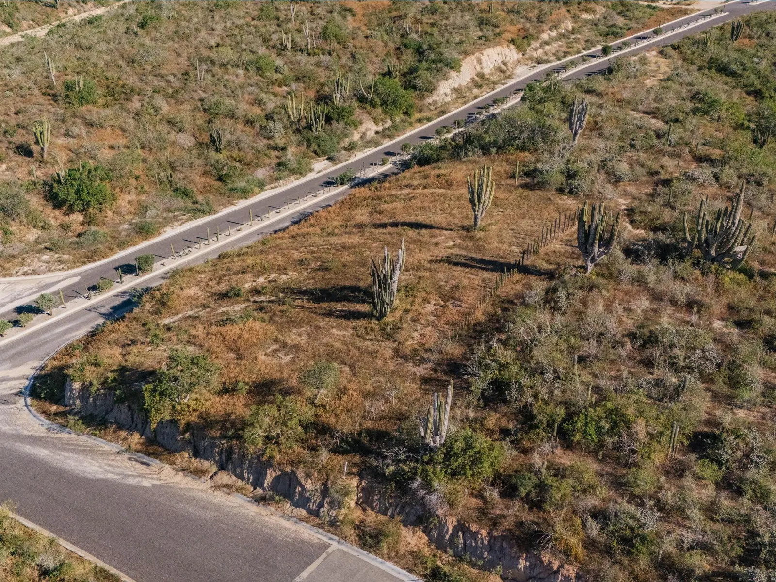 Ocean View Development Lot