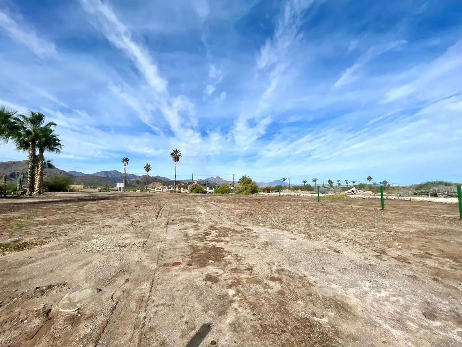 Lot 418