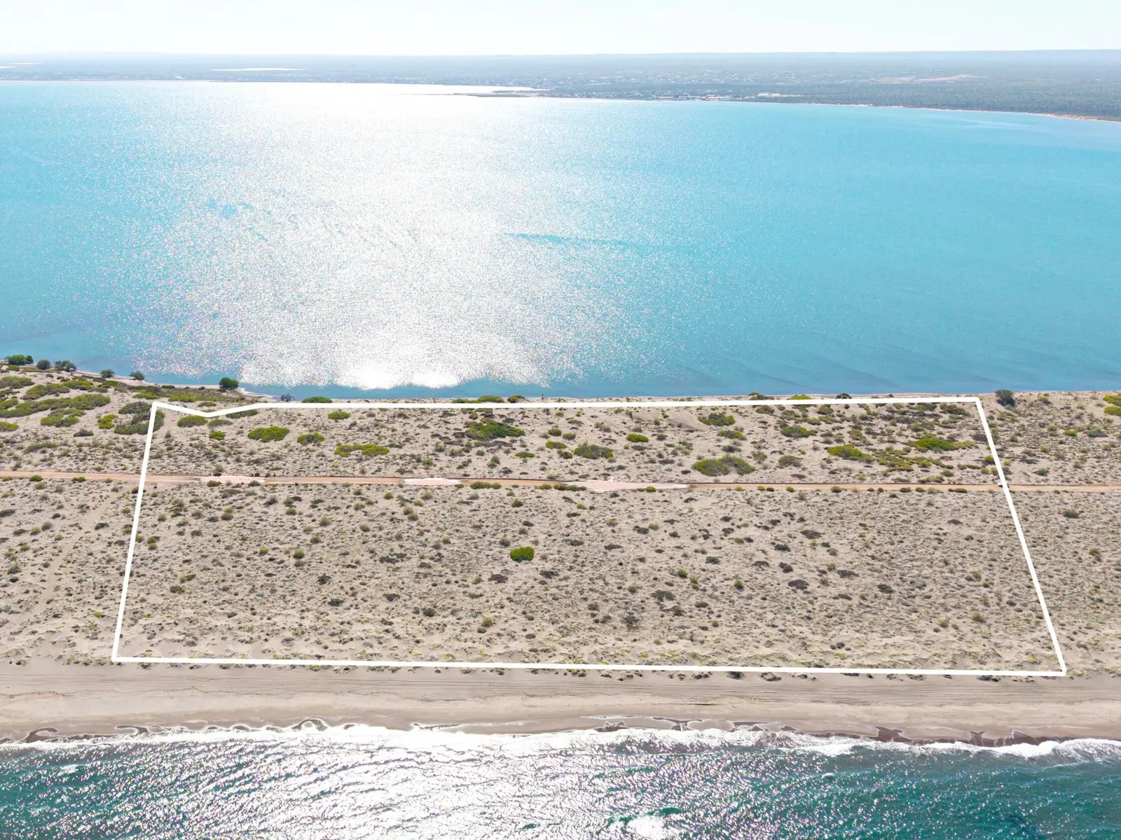 Lot 49, El Mogote