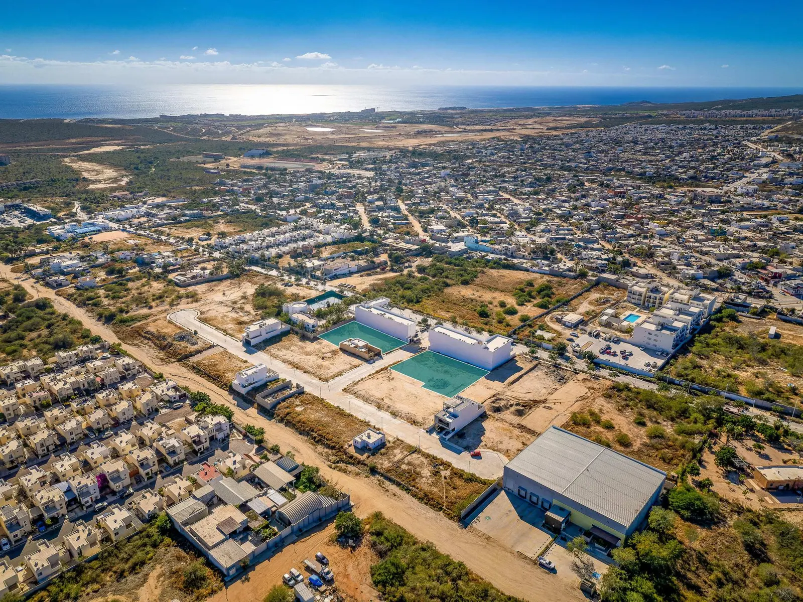 LOTE UNO GRANDE CARDONES