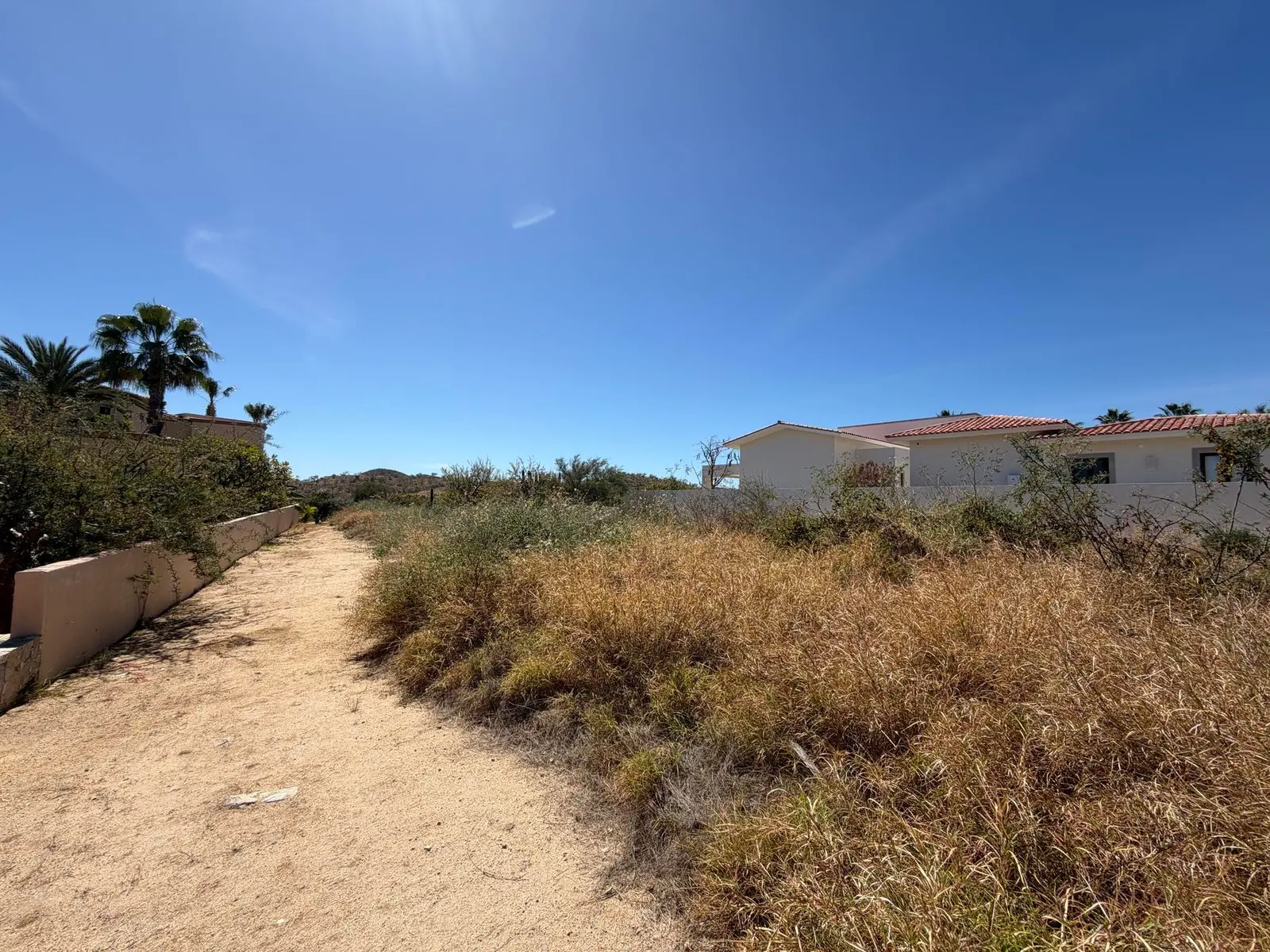 Palmilla Estates