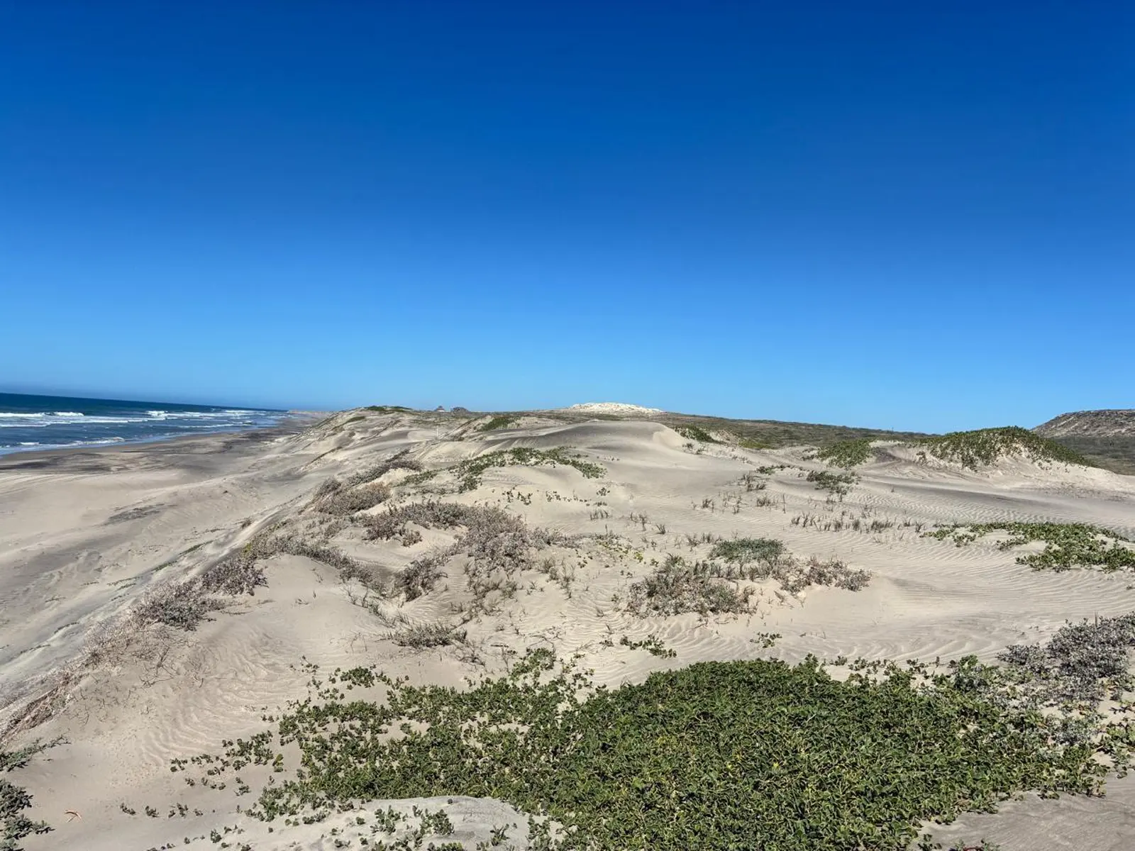 Coastal lot