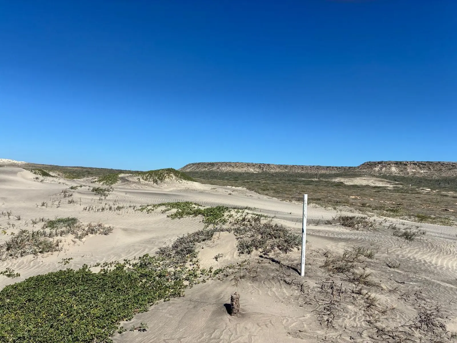 Coastal lot