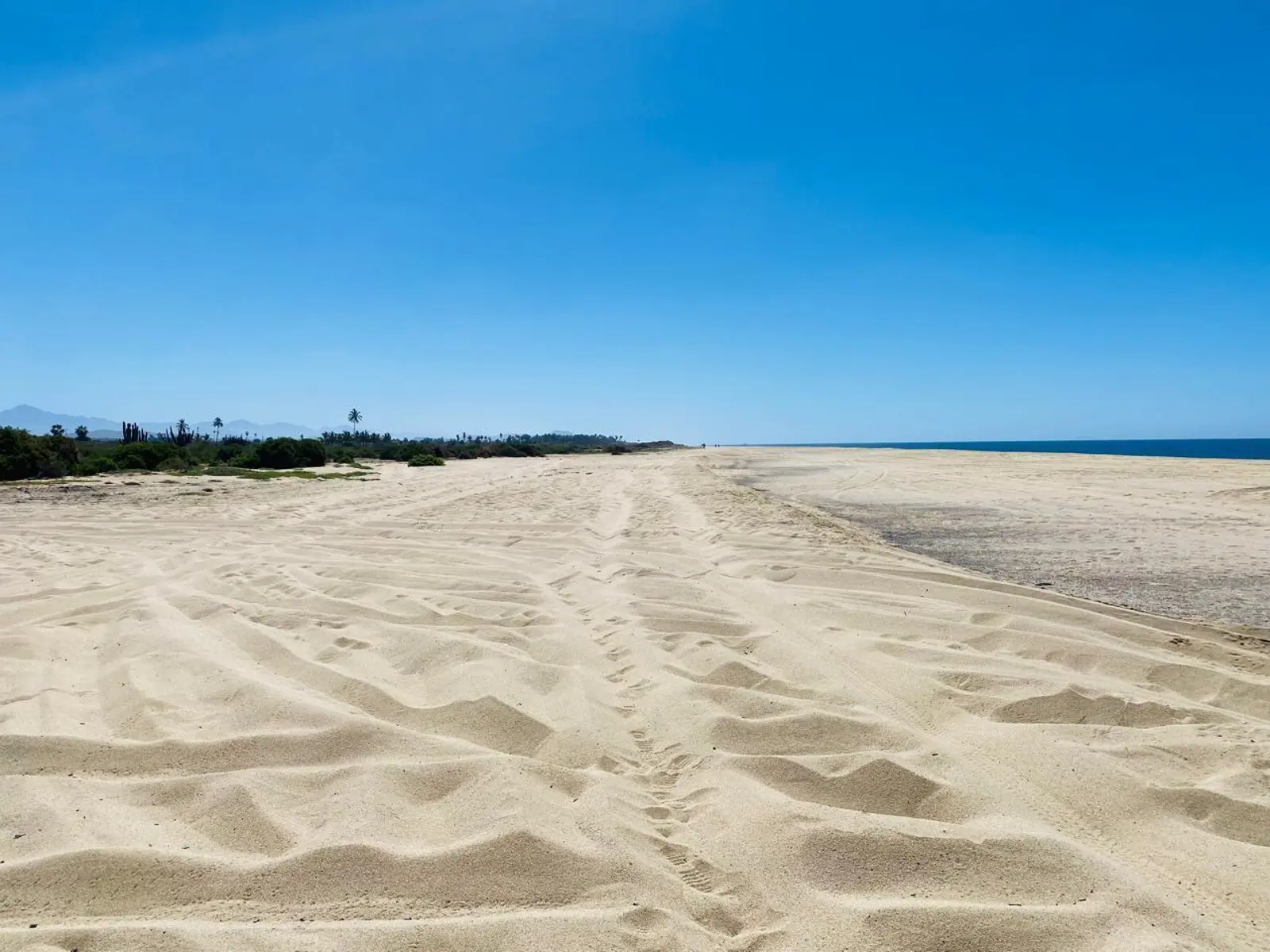 OCEANFRONT PARADISE