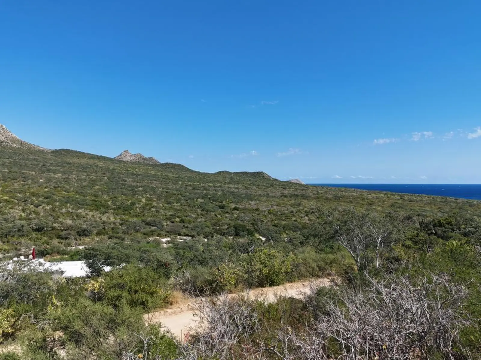 Lote 57