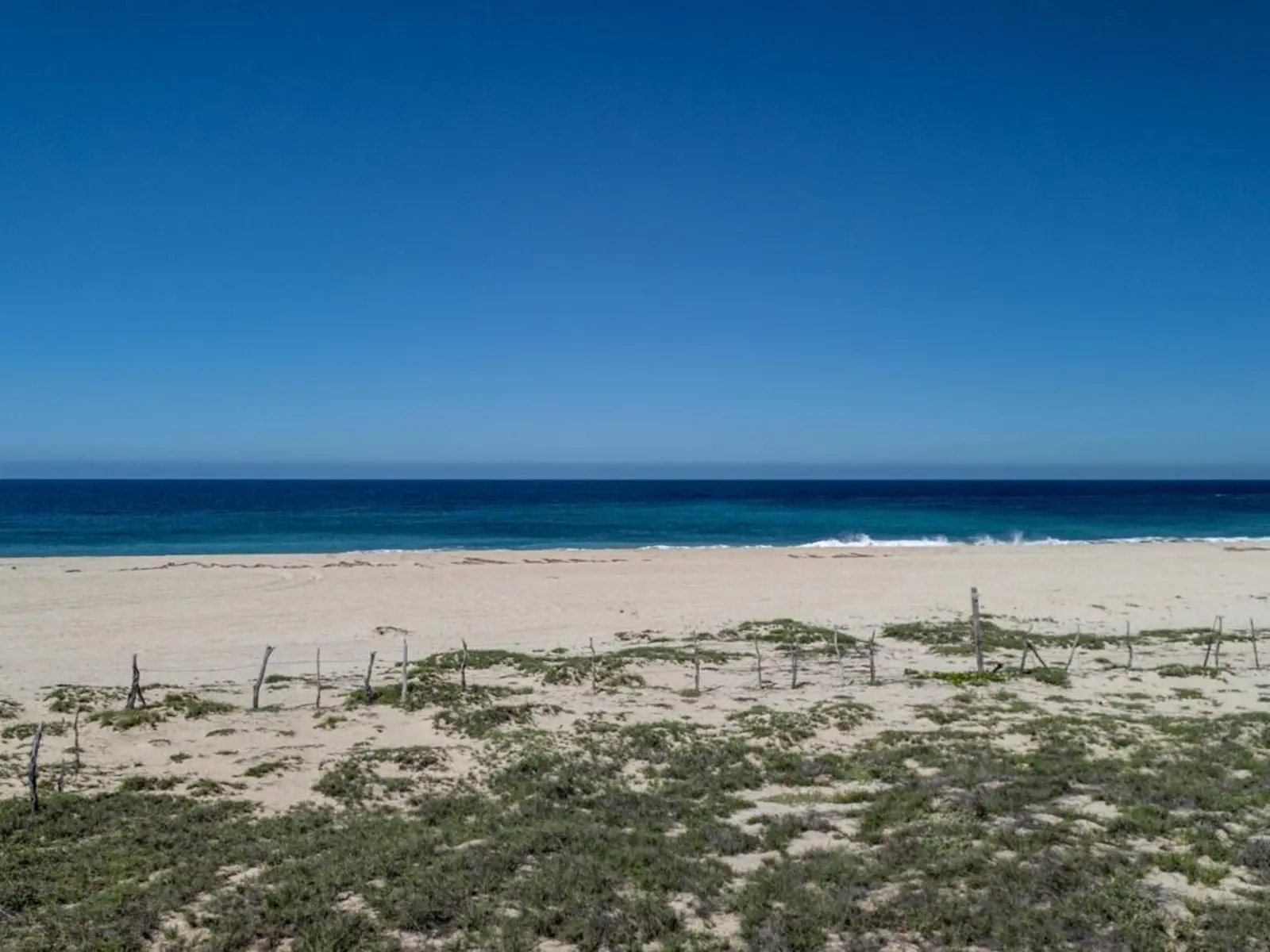 Ocean Front/