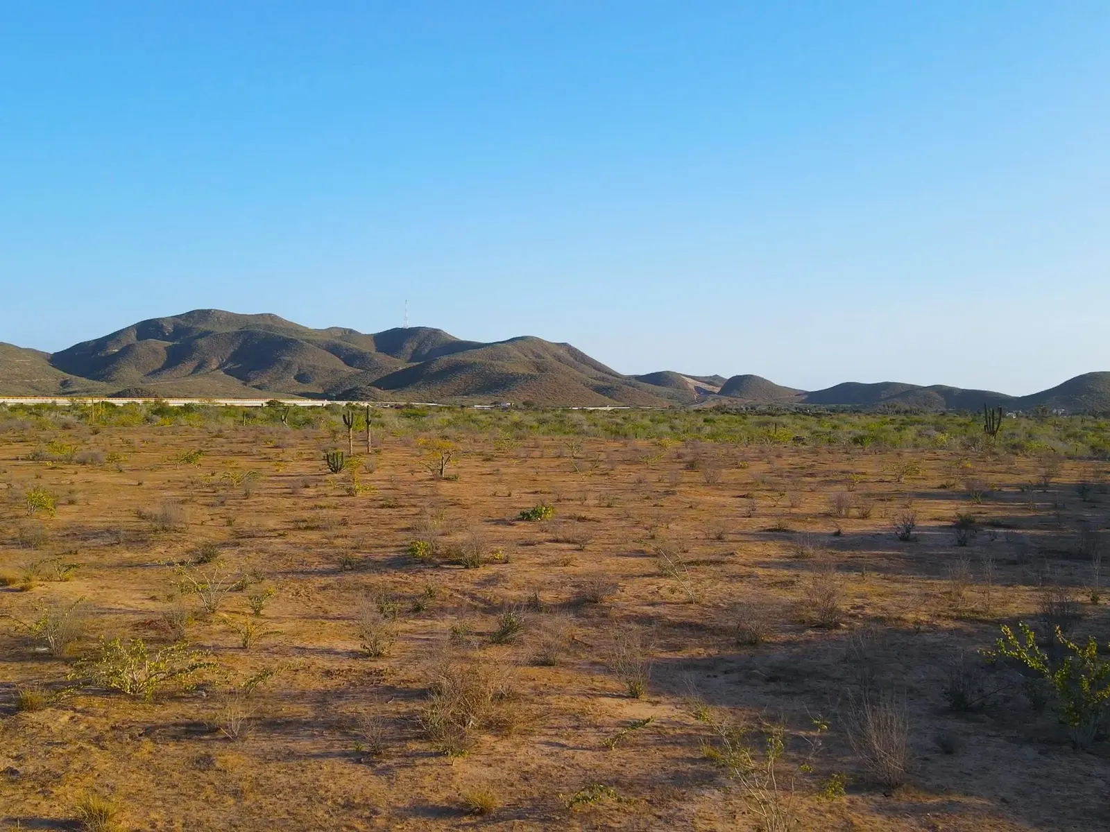 RANCHO NUEVO FLAT LAND