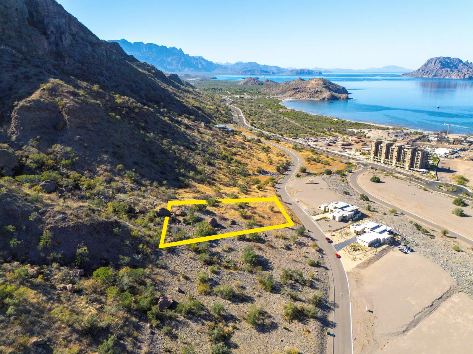 Lot 51 Cardon Danzante Bay