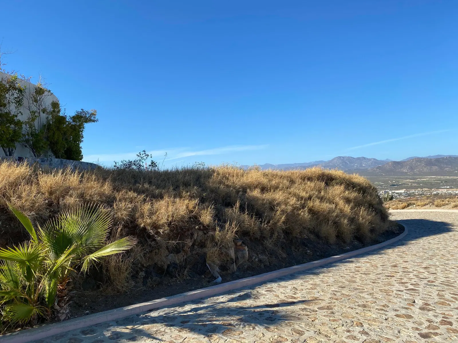 Lot 1 Block 48