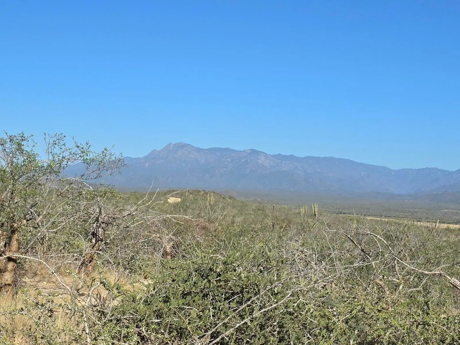 La Tinaja 004