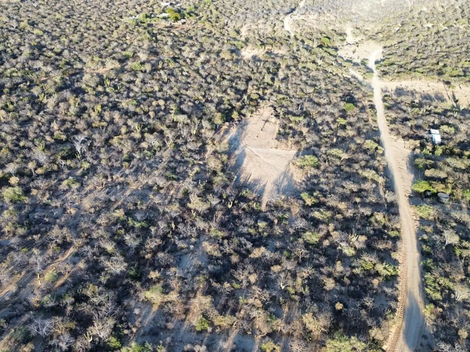 RANCHO EL OASIS