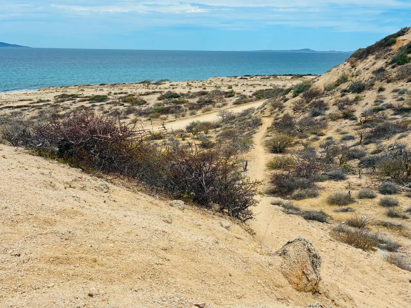 Senderos del Mar