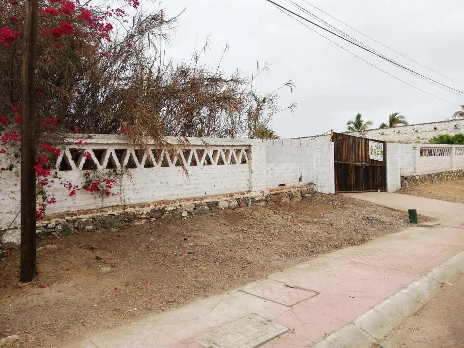 LAND FOR SALE IN TODOS SANTOS