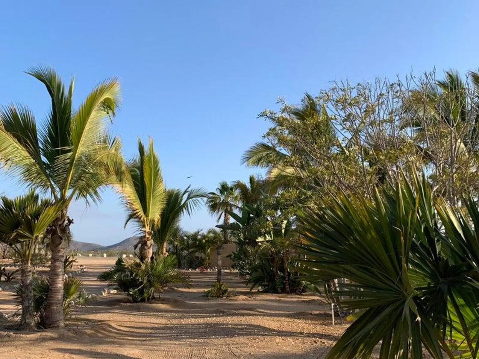 Rancho Nuevo Lote de la Sierra