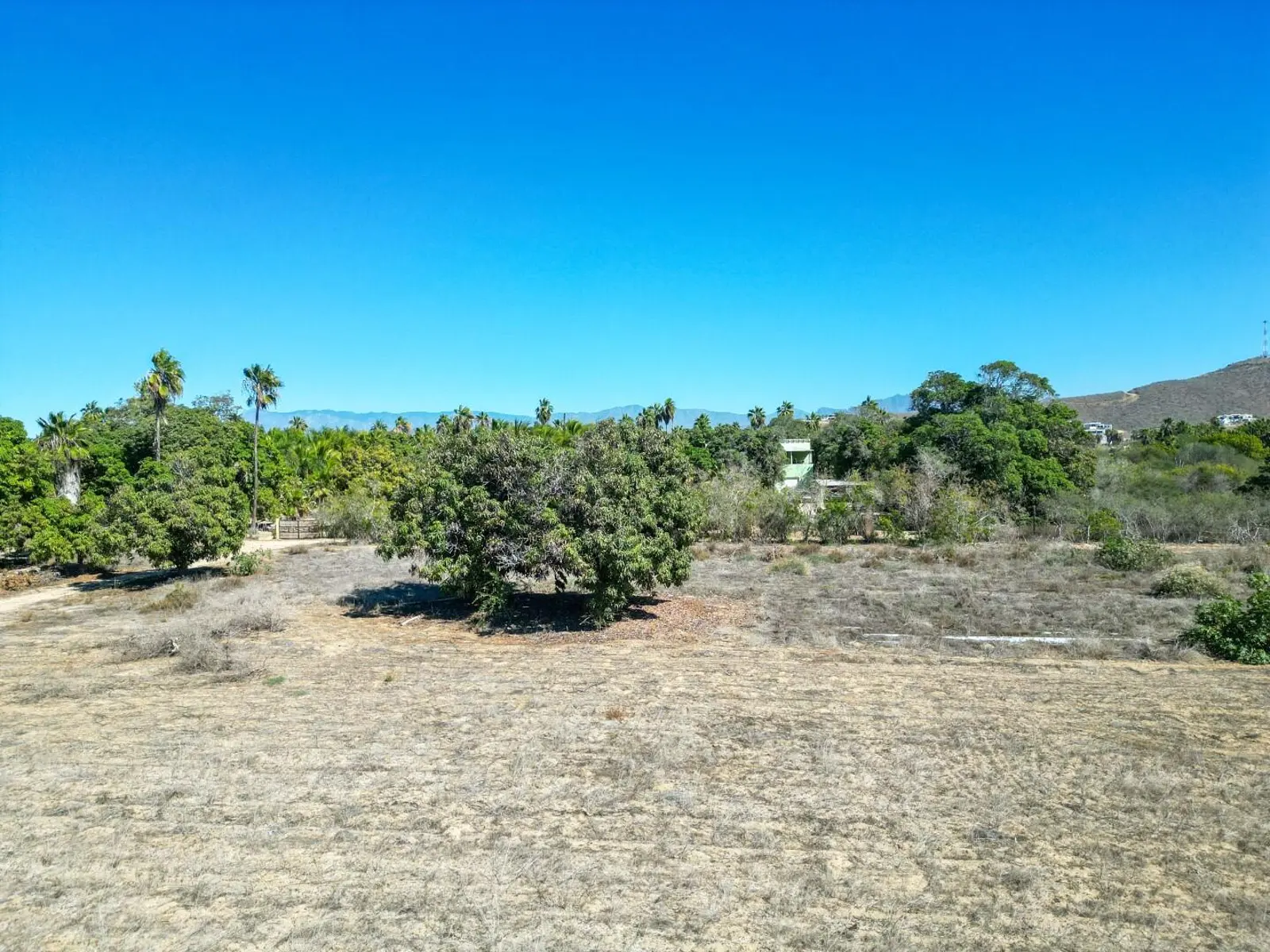 Huerta La Alegria 8
