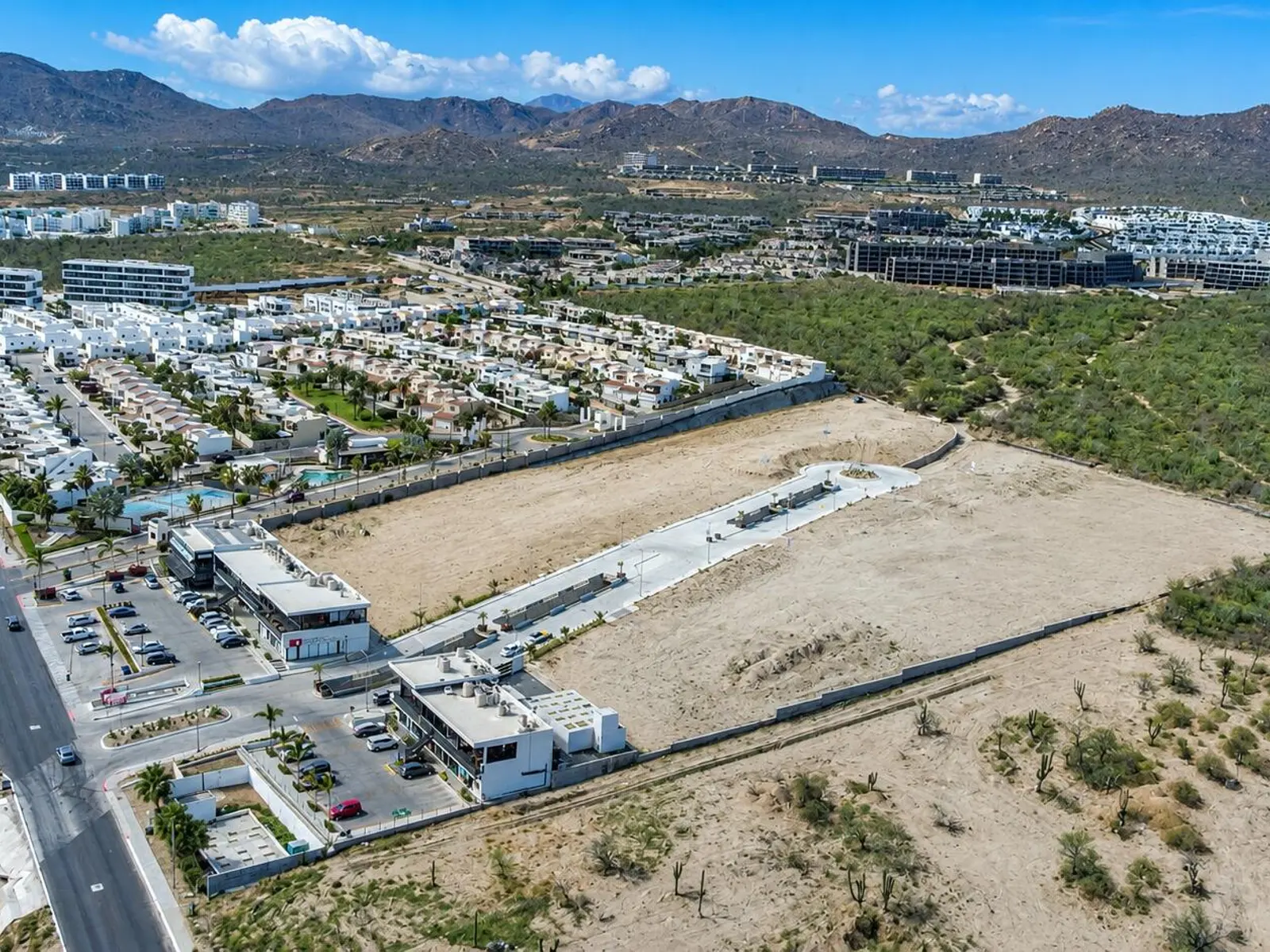 VISTA CELESTE