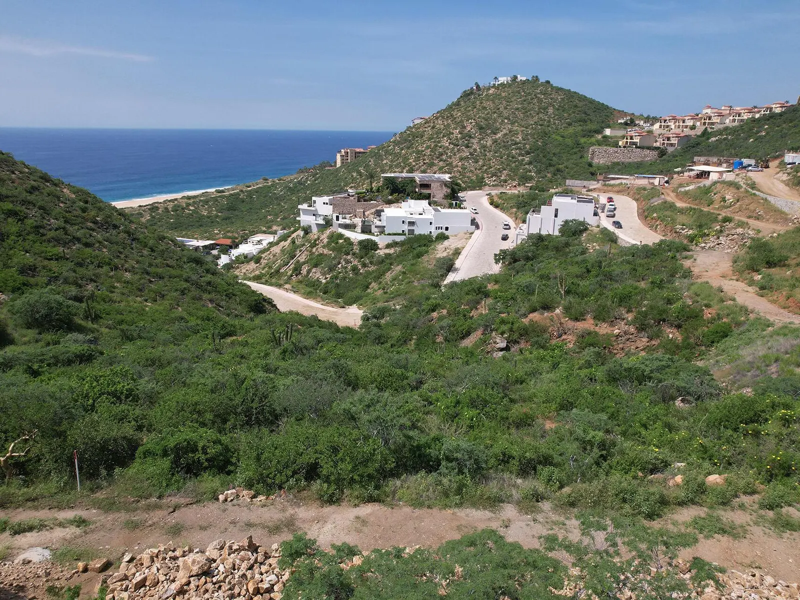 Lote 50 M36