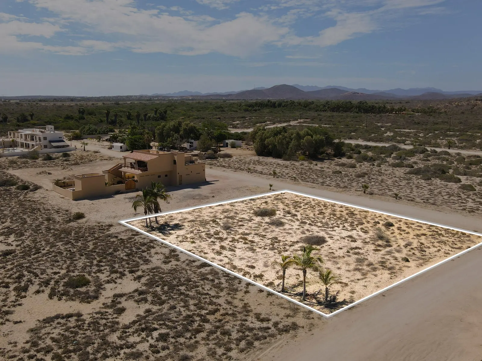 BuenaVista/Rancho Leonero