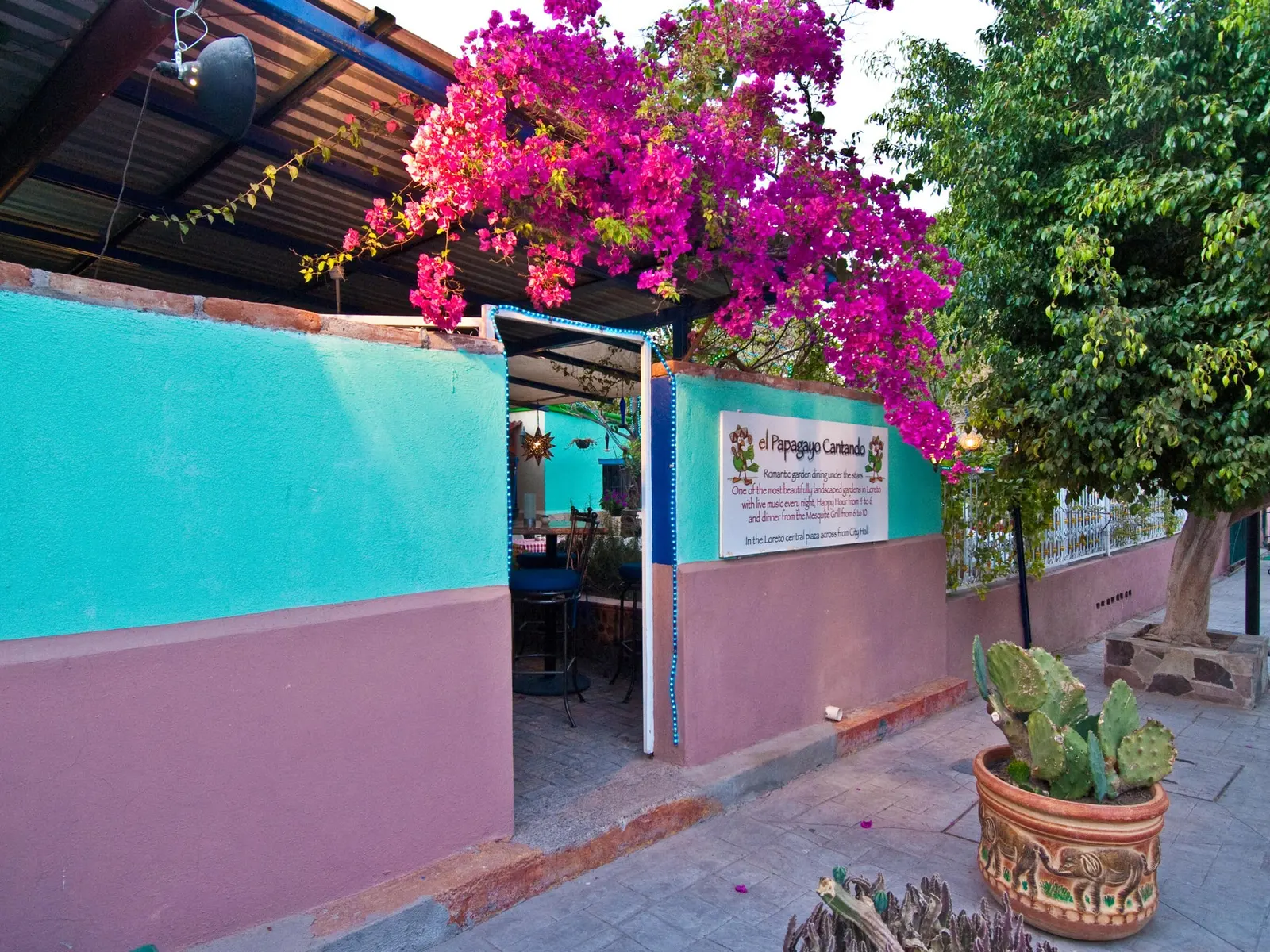 Papagayo