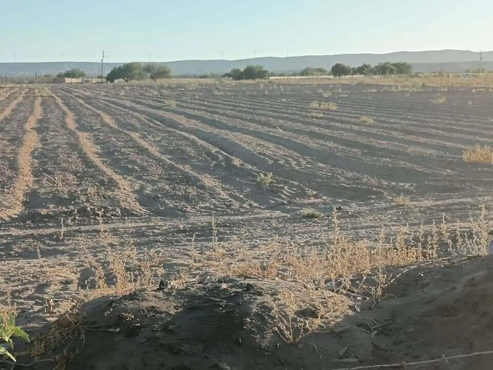 TERRENO EN VENTA
