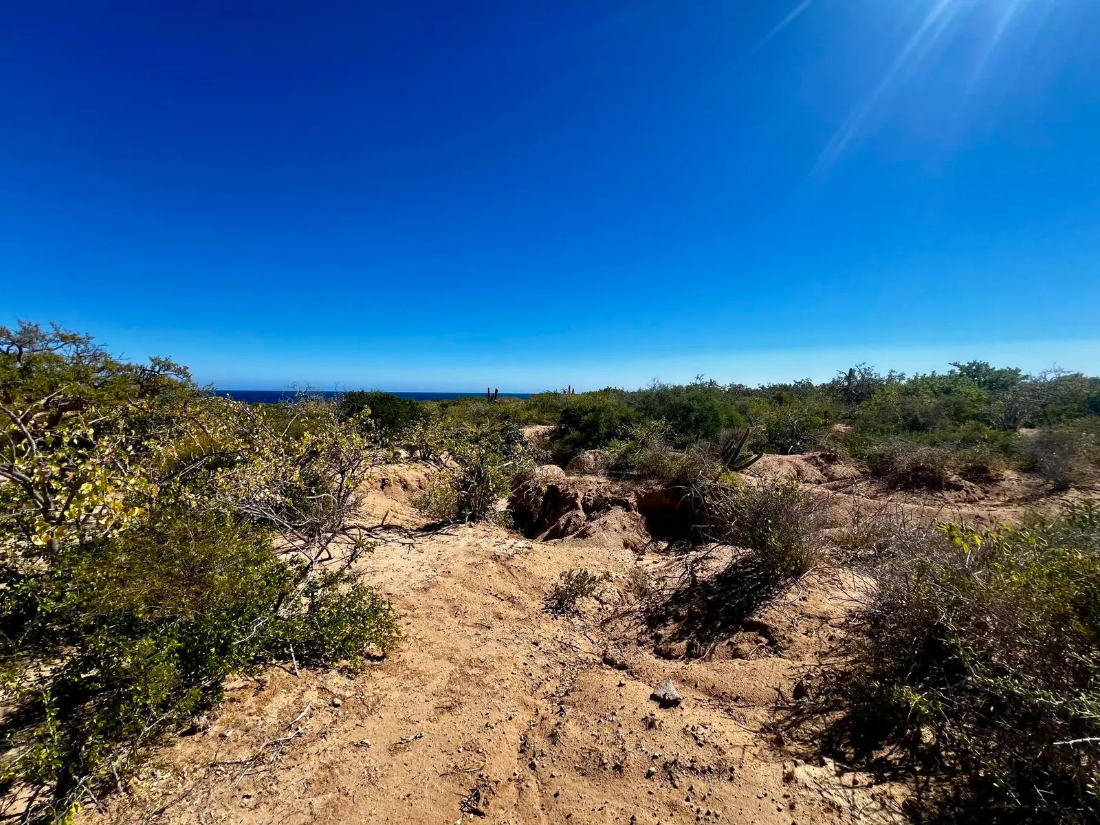 Boca Del Salado