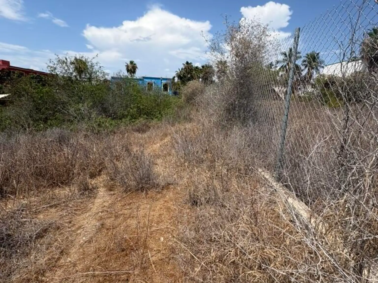 Historic Zone lot