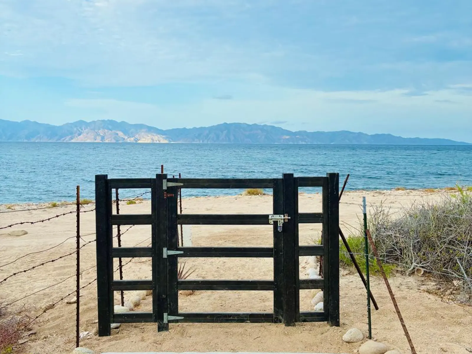 Baja Secret, Lot 1