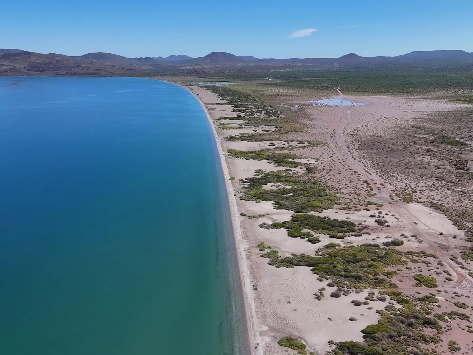 Bahía de Concepción