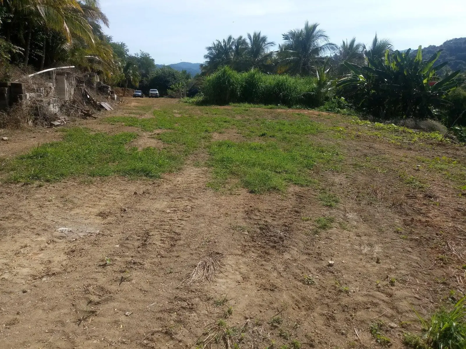 Lote Nueva Galicia
