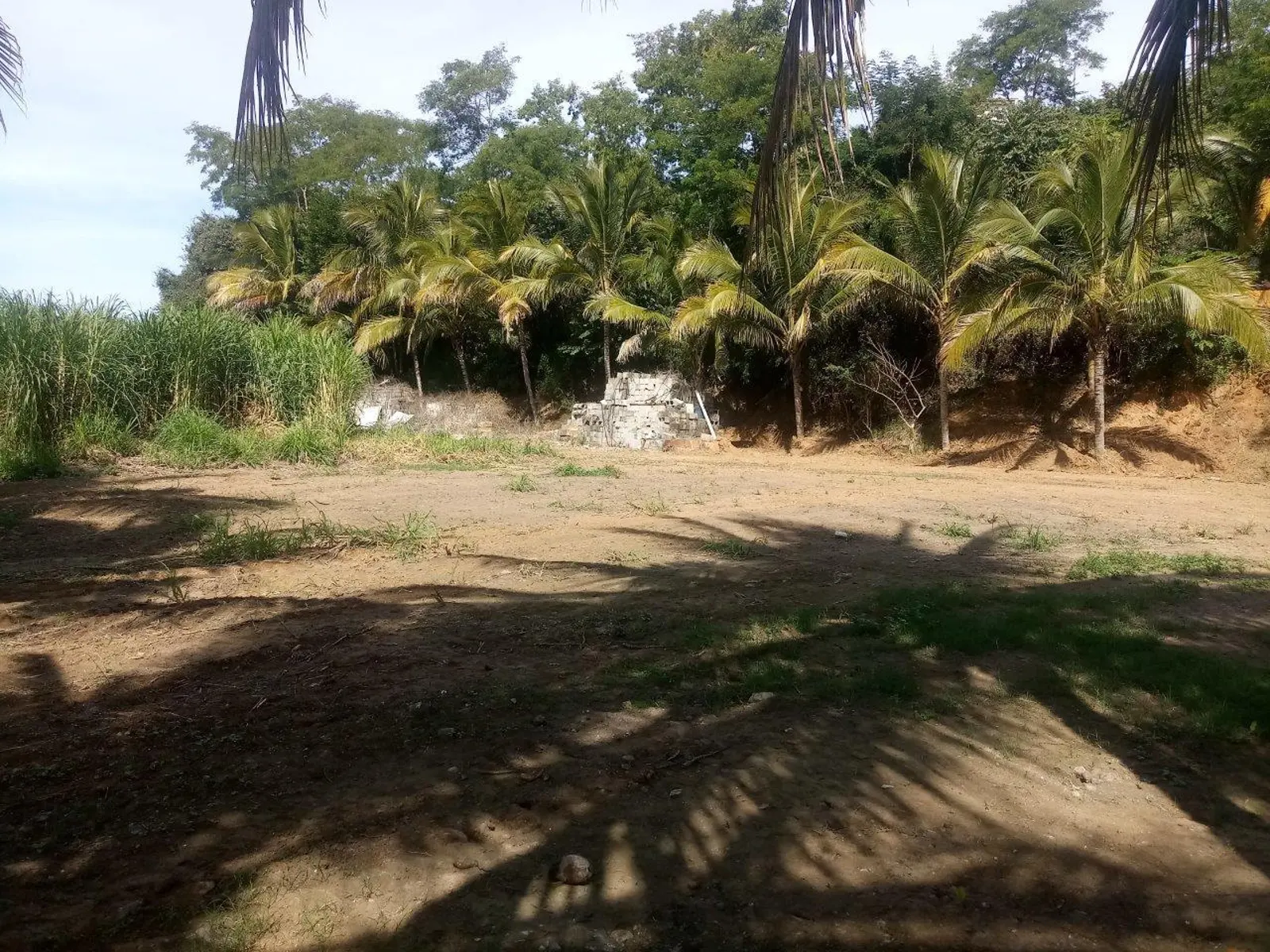 Lote Nueva Galicia