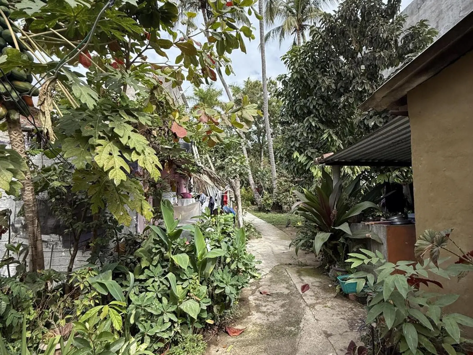 San Pancho Main Street Lot.